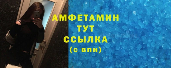 шишки Мегион