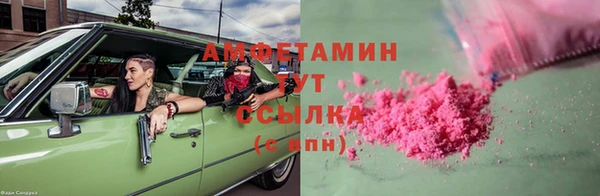 шишки Мегион