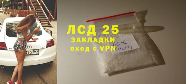 шишки Медвежьегорск