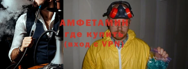 шишки Мегион
