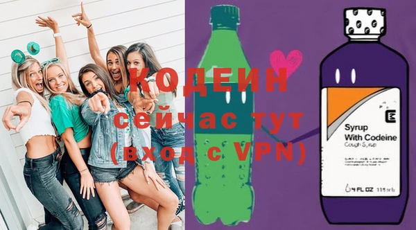 шишки Мегион